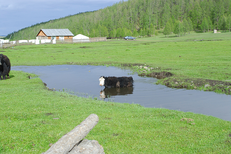 image0148