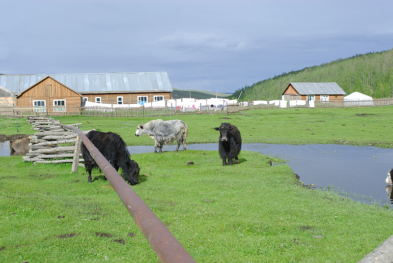 image0149