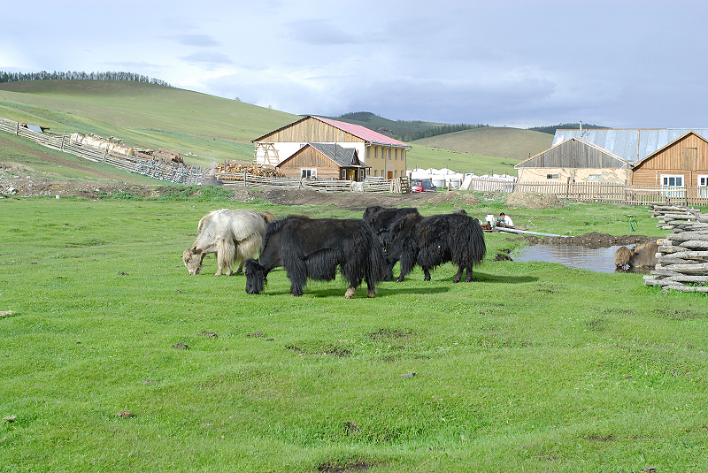 image0150