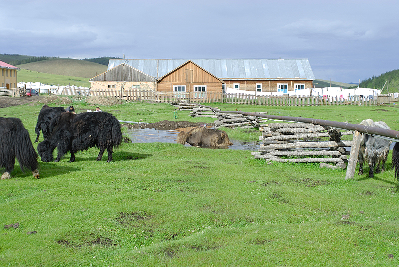 image0151