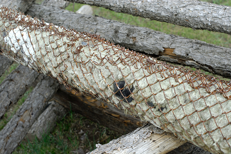 image0153