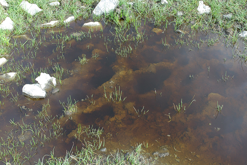 image0164