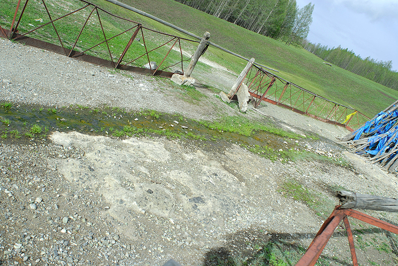 image0175
