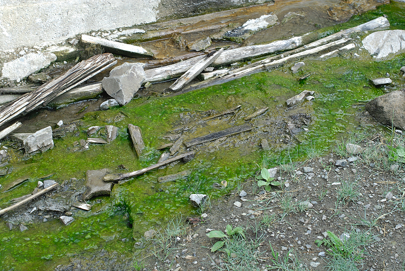 image0183