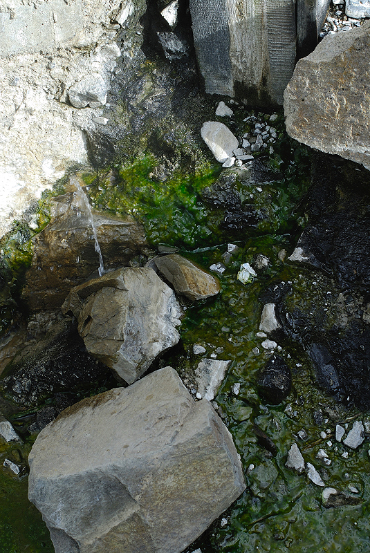 image0196