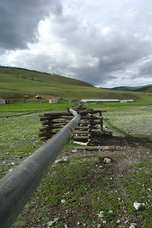 image0207