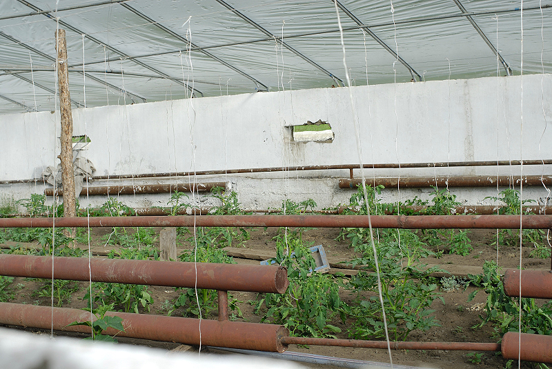 image0208