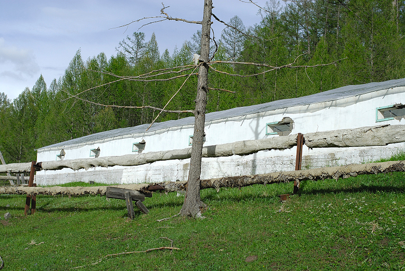 image0211