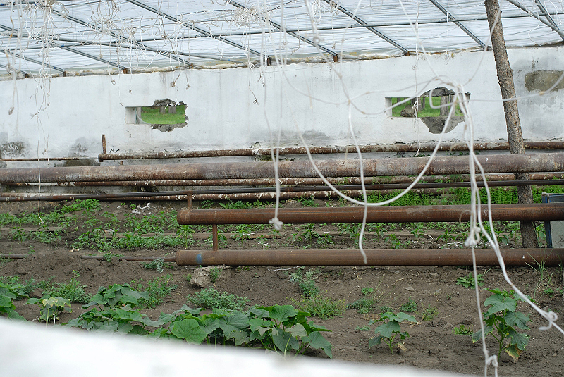 image0212