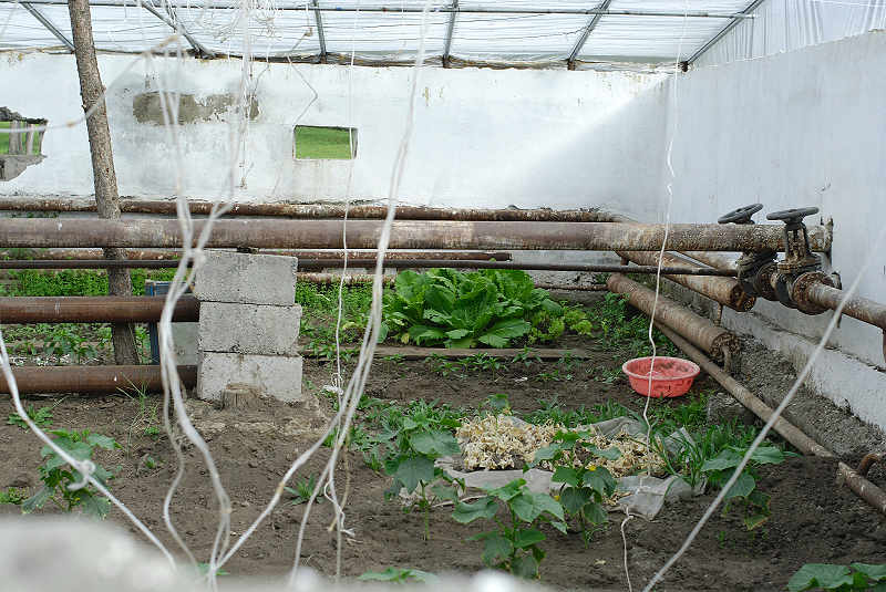 image0213