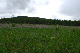 image0096