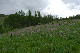 image0097