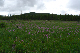 image0098