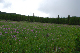 image0099