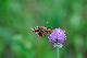 image0101
