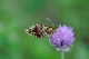 image0102