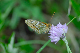 image0103