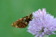 image0104