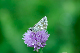 image0108