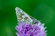 image0110