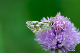 image0111