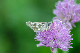 image0113