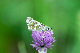 image0114
