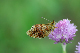 image0115