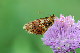 image0117