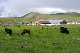 image0118