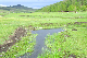 image0121