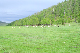 image0123