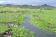 image0124