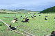 image0128