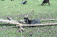 image0129