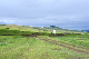 image0131