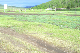 image0132