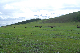 image0140