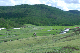 image0143
