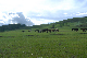 image0144