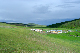 image0146
