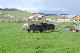 image0150
