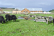 image0151