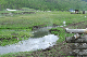 image0154