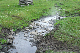 image0156