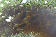 image0164