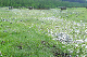image0165