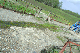 image0175