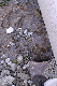 image0187