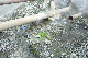 image0188